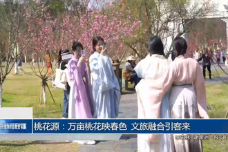 桃花源：萬畝桃花映春色 文旅融合引客來