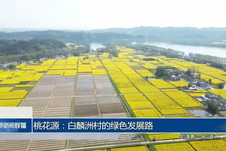 桃花源：白麟洲村的綠色發(fā)展路
