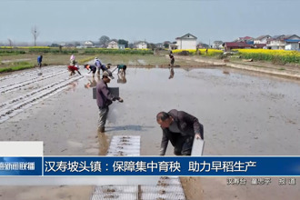 漢壽坡頭鎮(zhèn)：保障集中育秧 助力早稻生產