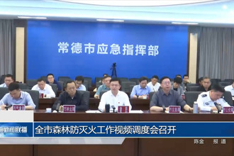 全市森林防滅火工作視頻調(diào)度會(huì)召開(kāi)