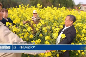 全國人大代表沈昌健：加大油菜種業(yè)創(chuàng)新 為鄉(xiāng)村振興注入科技動能