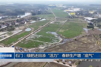 石門：綠肥還田添“活力” 春耕生產(chǎn)增“底氣”