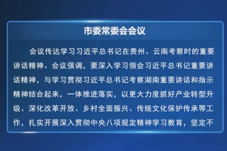 羅毅君主持召開市委常委會會議