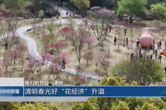 我們的節(jié)日 清明(4月4日)