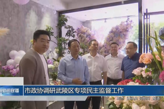 市政協(xié)調(diào)研武陵區(qū)專項(xiàng)民主監(jiān)督工作