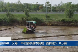 漢壽：早稻插秧基本完成 面積達58.8萬畝