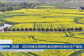 臨澧：成功創(chuàng)建全國綠色食品原料標準化生產(chǎn)基地