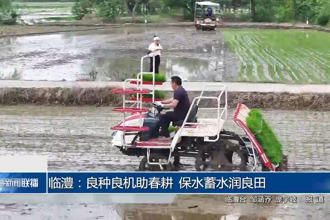 臨澧：良種良機助春耕 保水蓄水潤良田