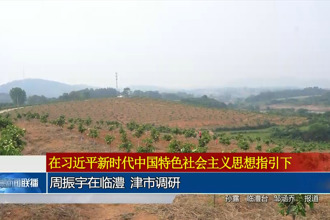 周振宇在臨澧 津市調(diào)研