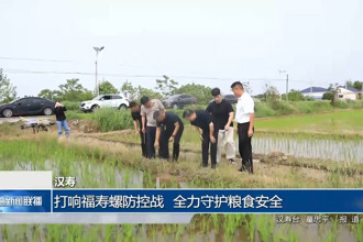 漢壽：打響“福壽螺”防控戰(zhàn) 全力守護(hù)糧食安全