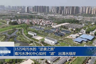 15萬噸污水的“逆襲之旅”：看污水凈化中心如何 “濾” 出清水綠岸