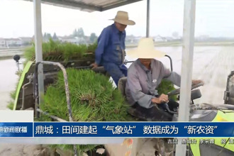 鼎城：田間建起“氣象站” 數(shù)據(jù)成為“新農(nóng)資”