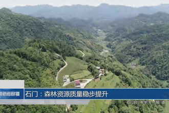 石門：森林資源質(zhì)量穩(wěn)步提升
