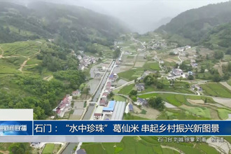 石門：“水中珍珠”葛仙米 串起鄉(xiāng)村振興新圖景