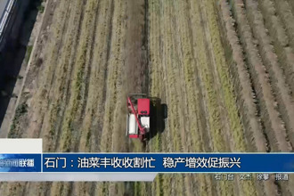 石門：油菜豐收收割忙 穩(wěn)產(chǎn)增效促振興