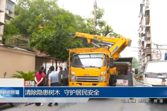 武陵：清除隱患樹(shù)木 守護(hù)居民安全